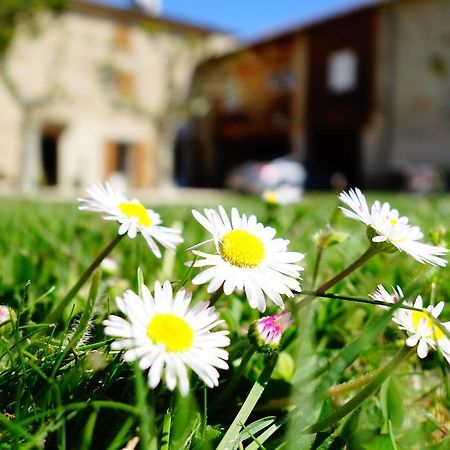 La Ferme Des Denis Chambres Dhotes Chanos-Curson Kültér fotó