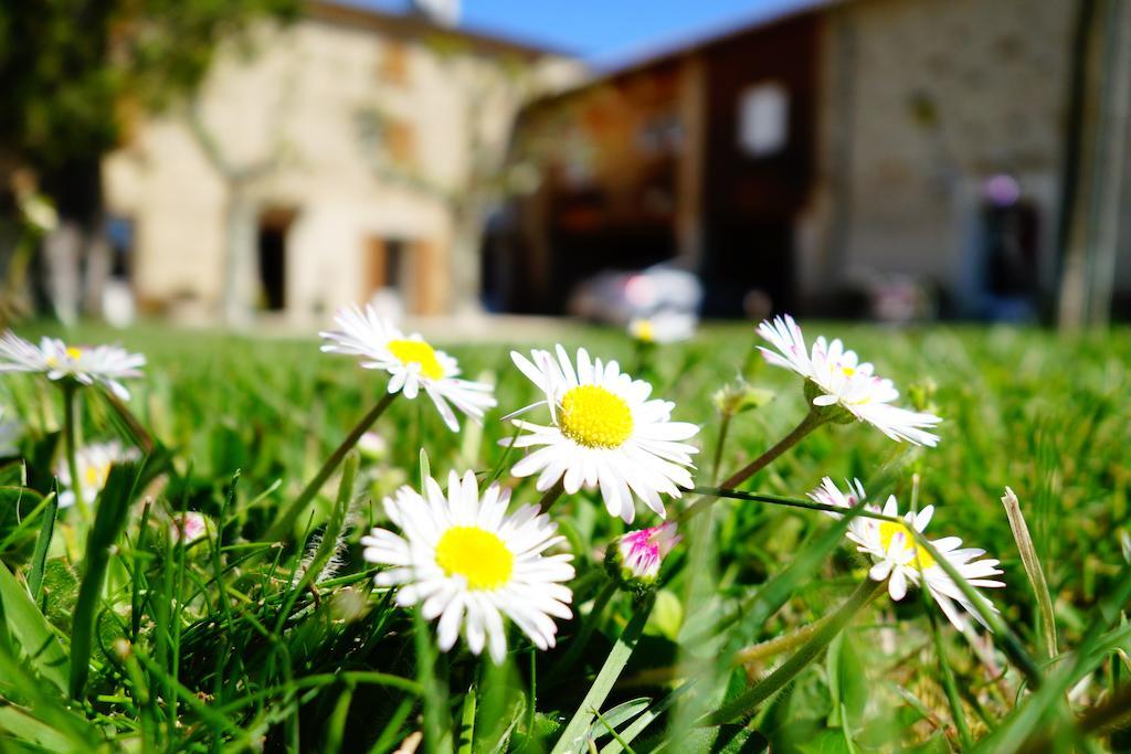 La Ferme Des Denis Chambres Dhotes Chanos-Curson Kültér fotó